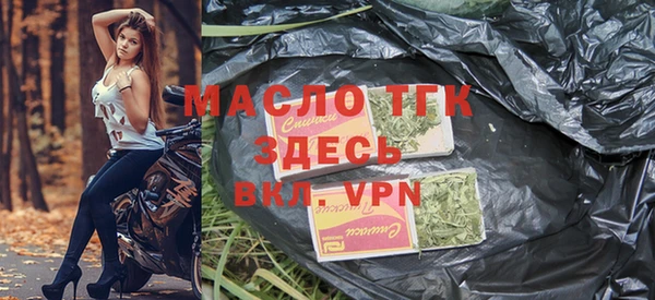 гашик Богданович