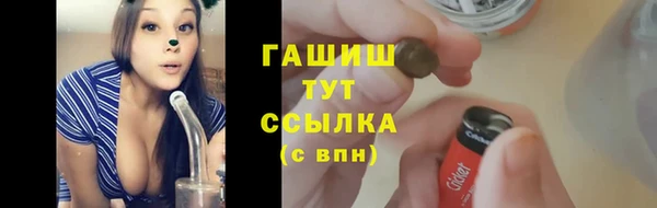 гашик Богданович