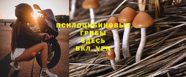 каннабис Богородицк