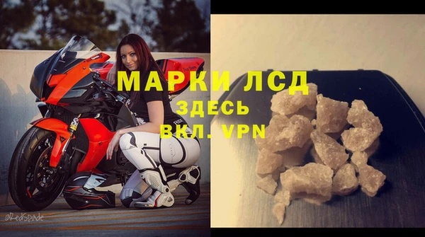 гашик Богданович
