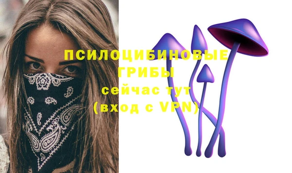 гашик Богданович