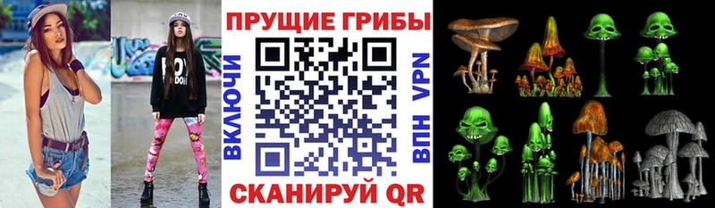 Купить закладки  Тюкалинск  Псилоцибиновые грибы мухоморы 